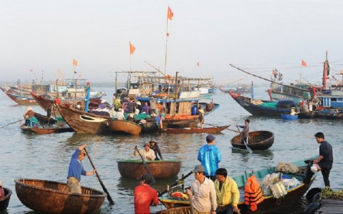 Sunrise Fish Market Tour