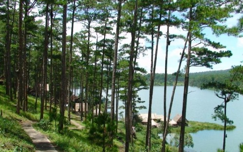 Dalat City Tour Full Day