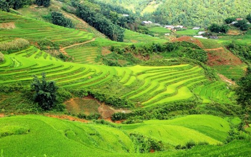 A Glimpse Of Sapa 2 Days 1 Night by Day Bus (Overnight at Homestay)